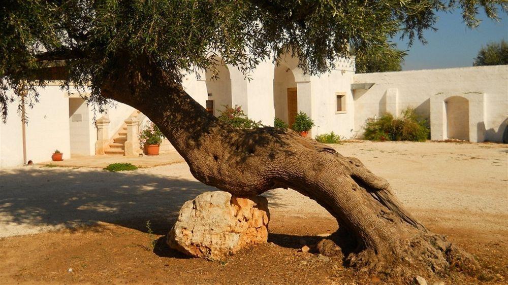 Masseria De Michele Montalbano  Εξωτερικό φωτογραφία
