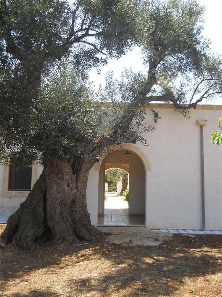 Masseria De Michele Montalbano  Εξωτερικό φωτογραφία