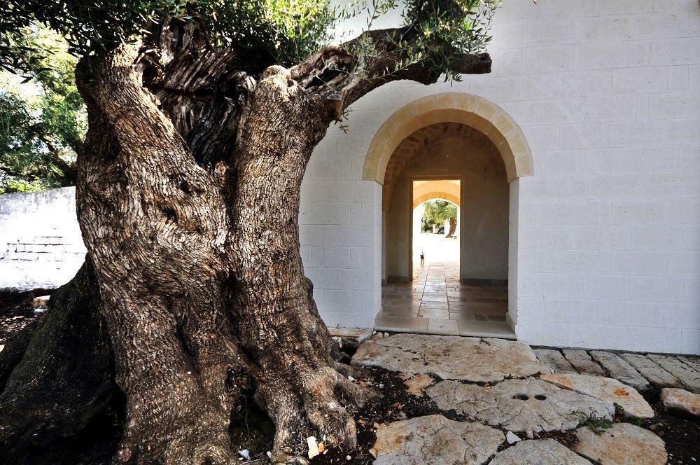Masseria De Michele Montalbano  Εξωτερικό φωτογραφία
