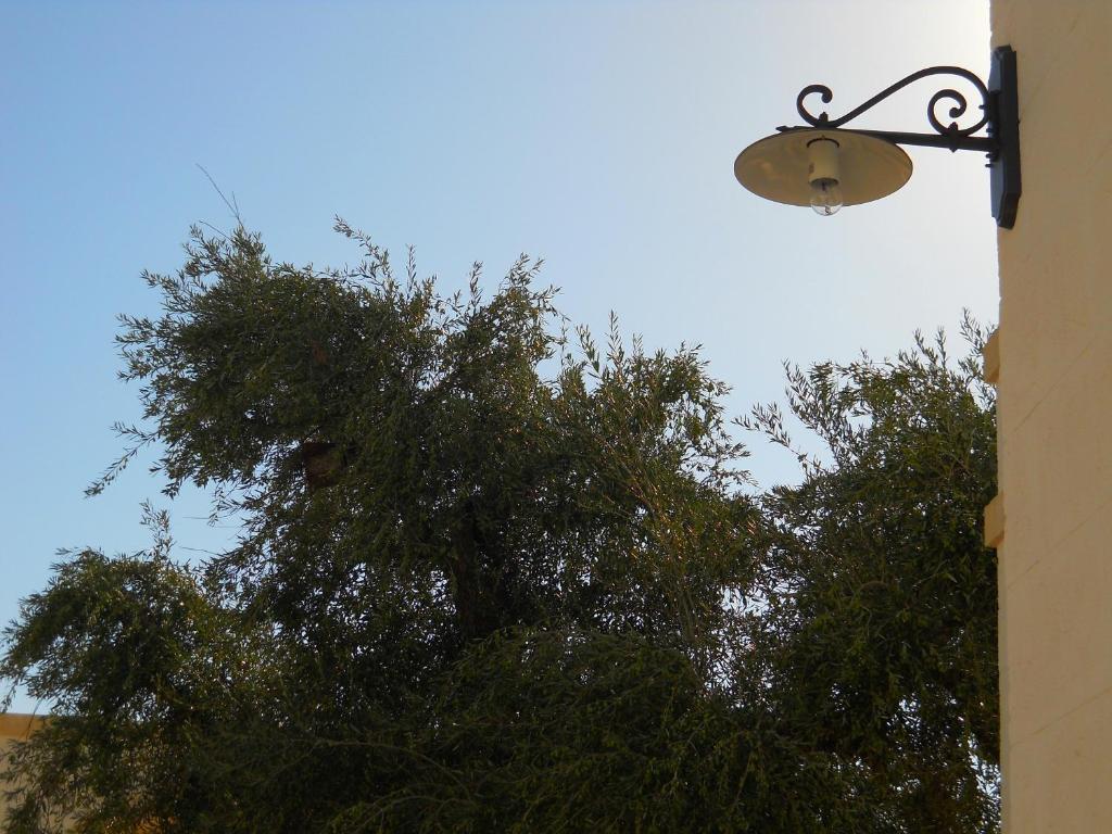 Masseria De Michele Montalbano  Εξωτερικό φωτογραφία